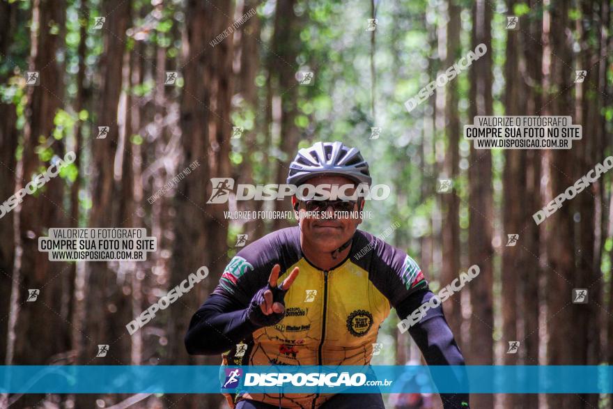 3° Desafio 100km de Terra