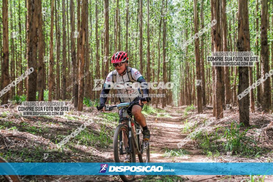 3° Desafio 100km de Terra