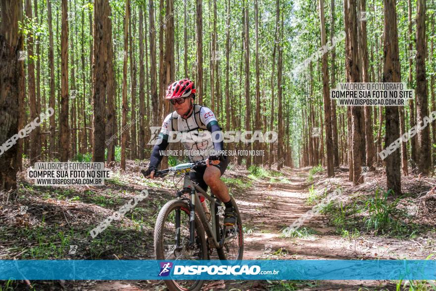 3° Desafio 100km de Terra