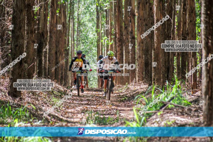 3° Desafio 100km de Terra