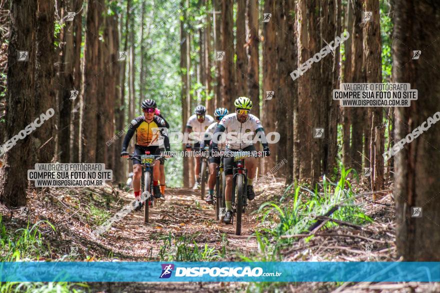 3° Desafio 100km de Terra