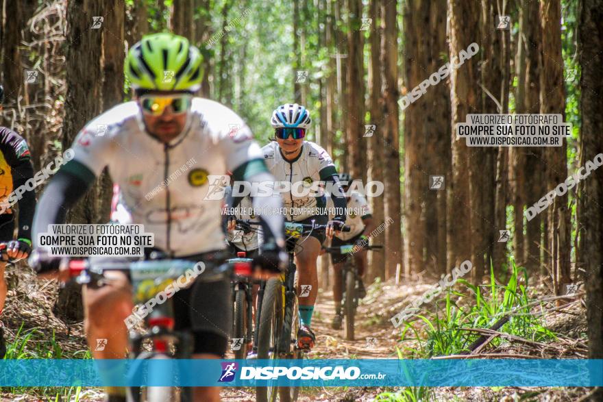 3° Desafio 100km de Terra