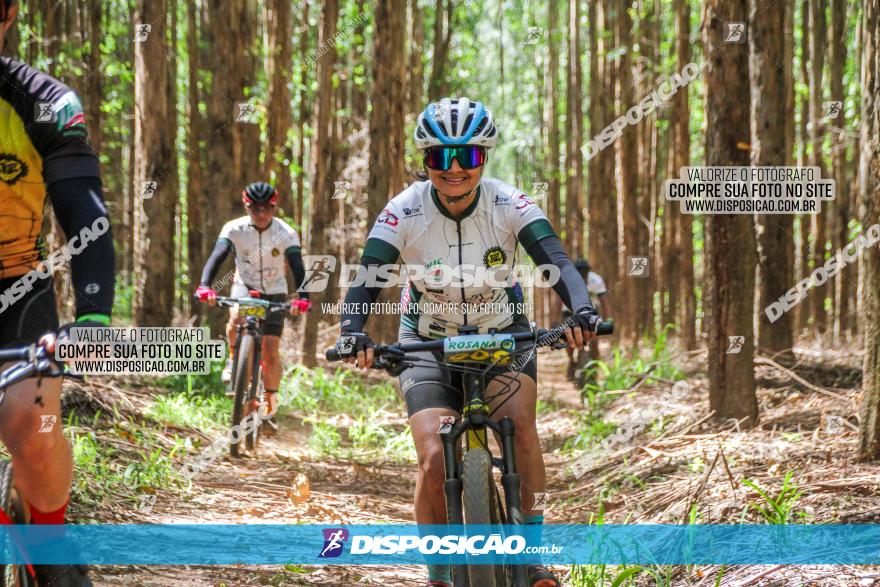 3° Desafio 100km de Terra