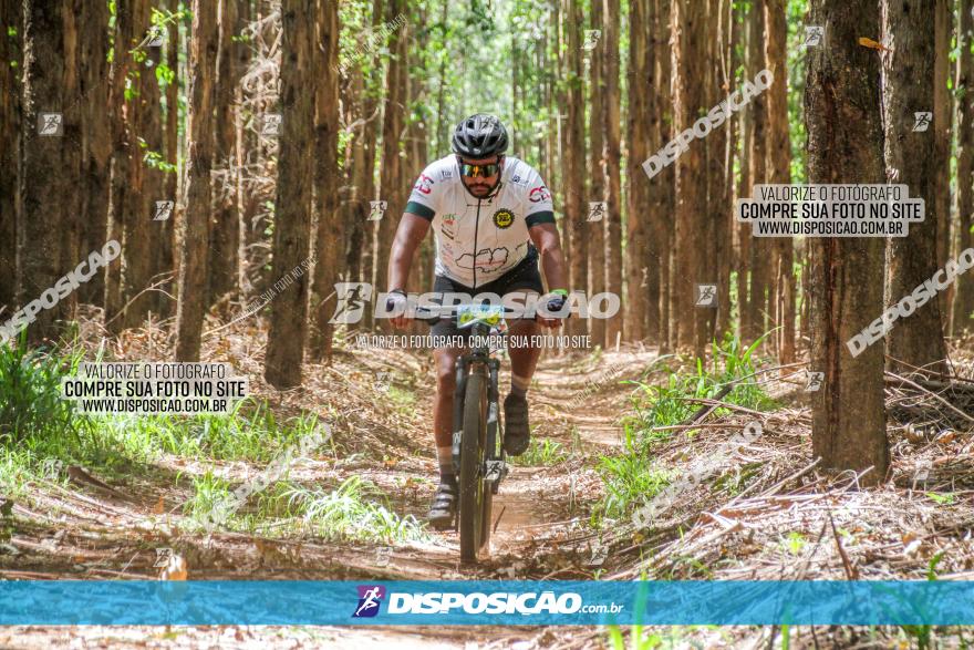 3° Desafio 100km de Terra