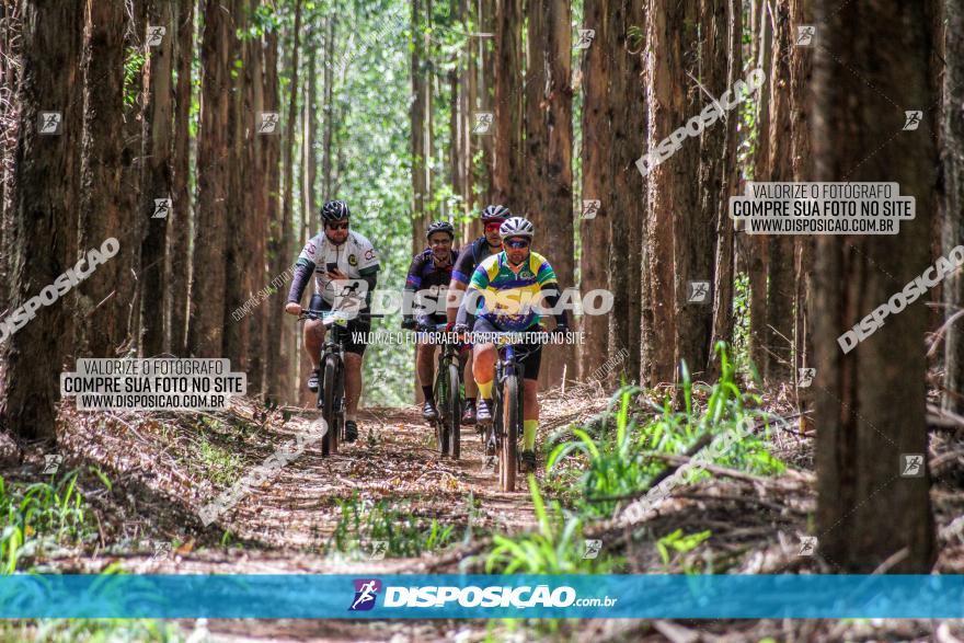 3° Desafio 100km de Terra