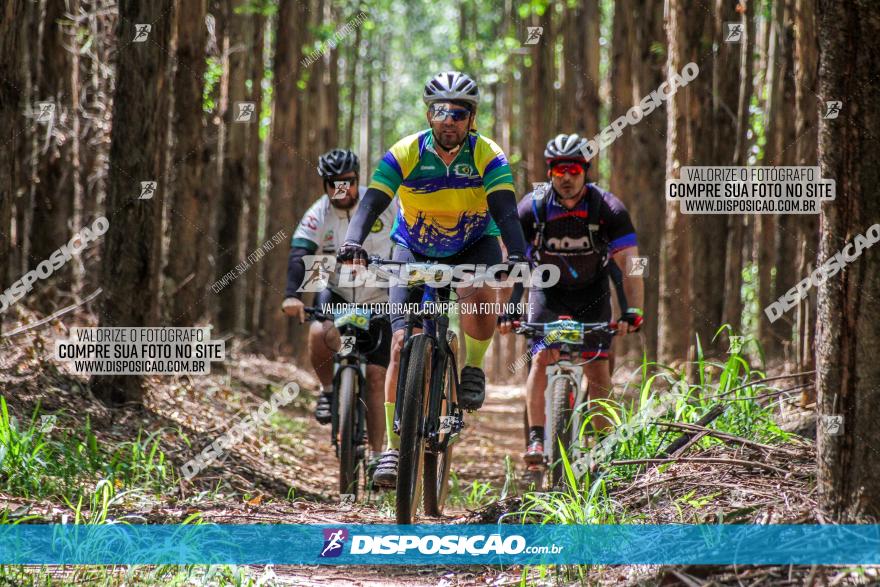 3° Desafio 100km de Terra