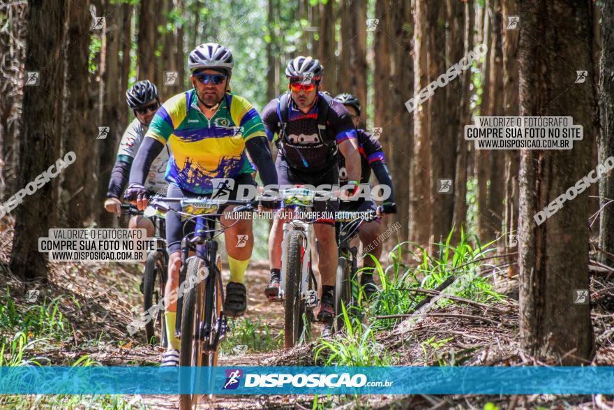 3° Desafio 100km de Terra