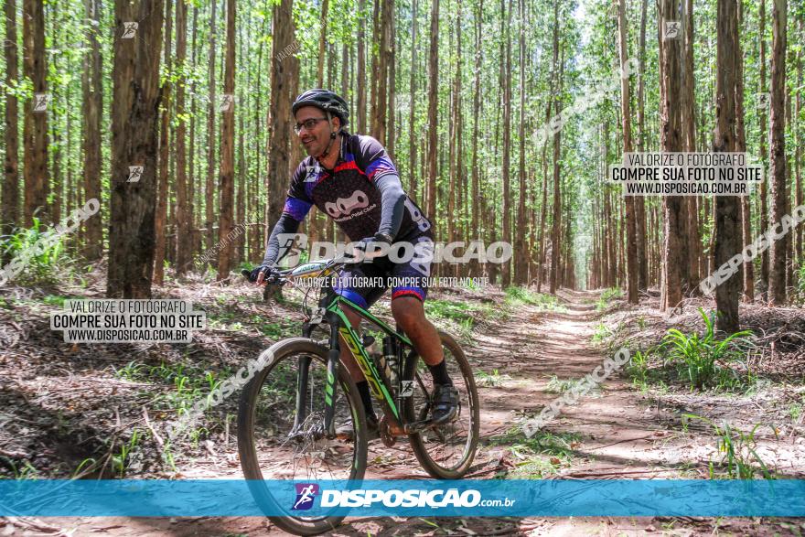 3° Desafio 100km de Terra