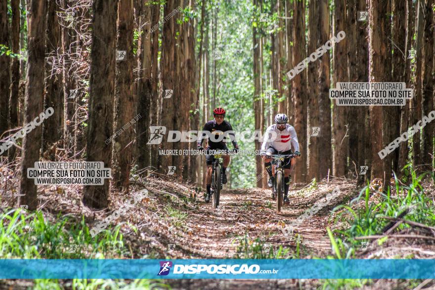 3° Desafio 100km de Terra