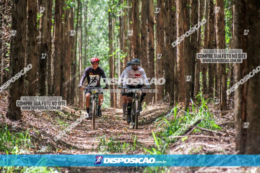 3° Desafio 100km de Terra