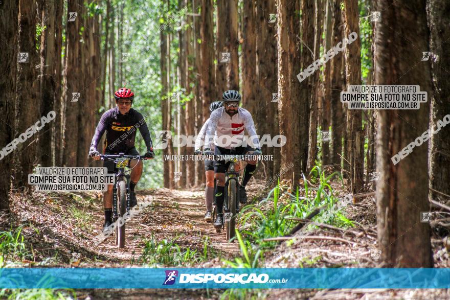 3° Desafio 100km de Terra