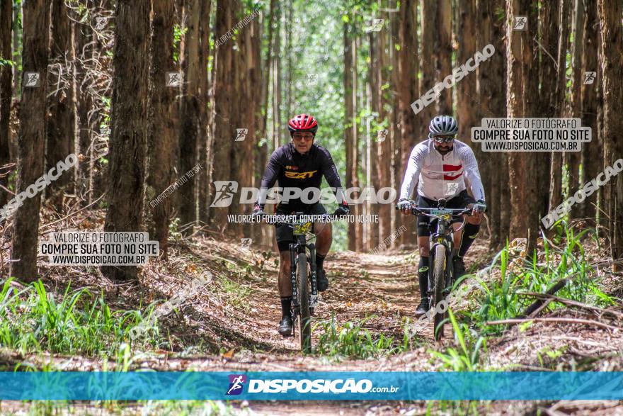 3° Desafio 100km de Terra