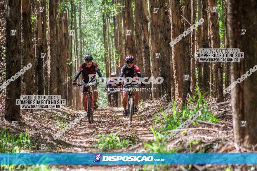 3° Desafio 100km de Terra