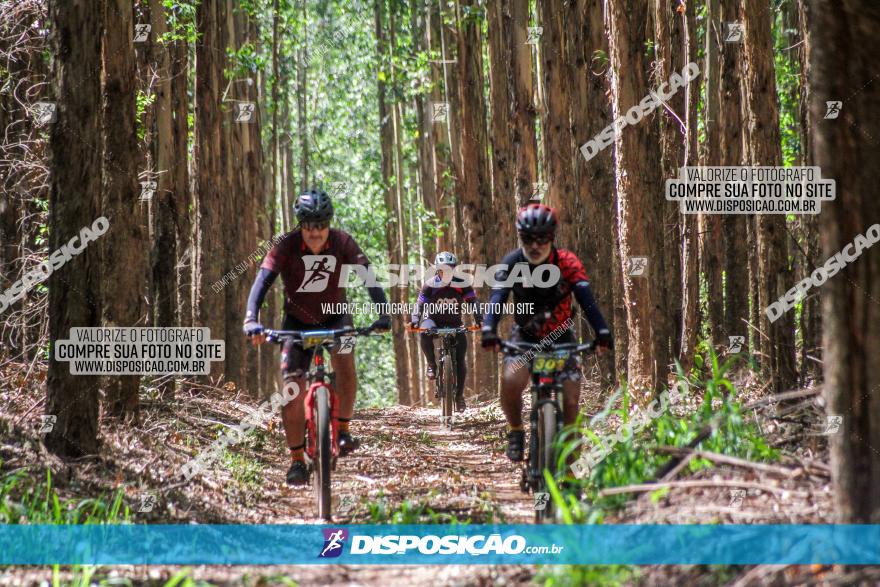 3° Desafio 100km de Terra