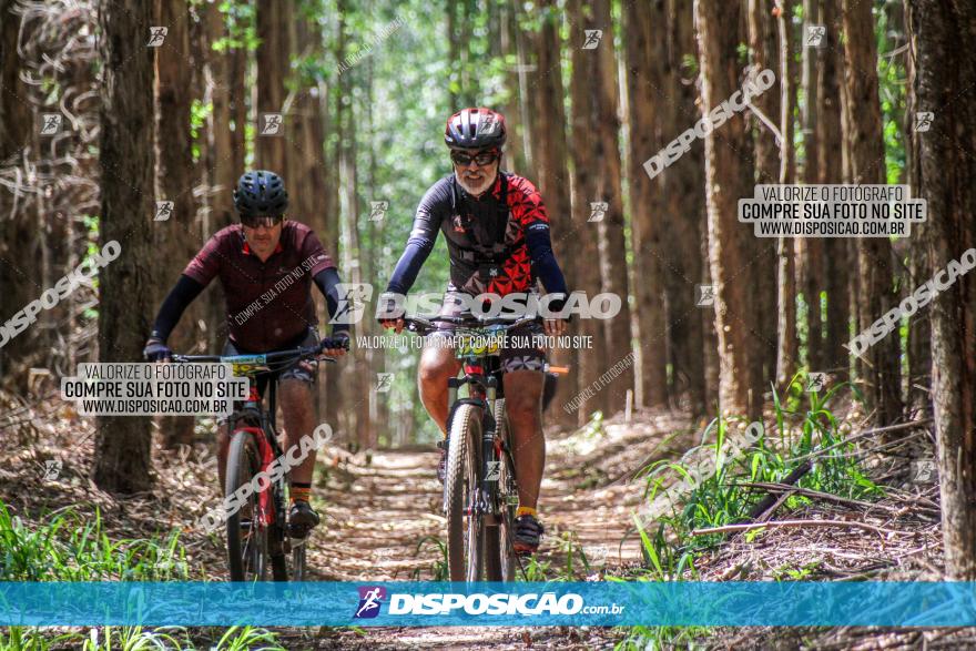 3° Desafio 100km de Terra