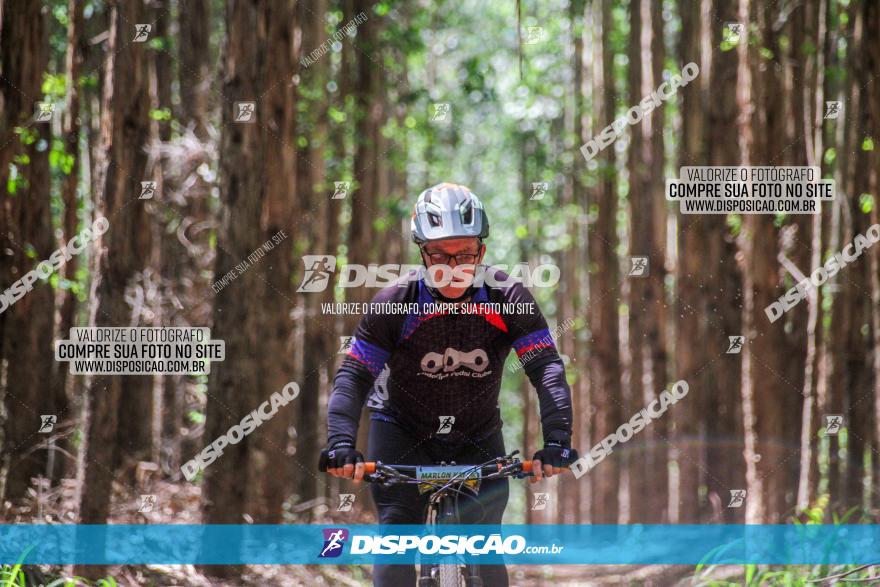 3° Desafio 100km de Terra