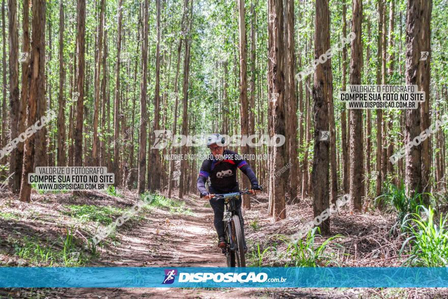 3° Desafio 100km de Terra