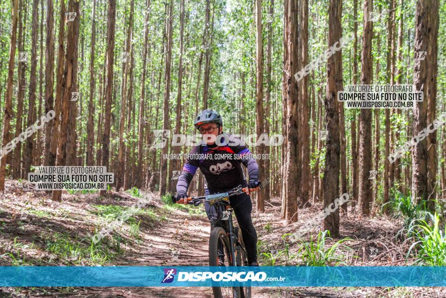 3° Desafio 100km de Terra