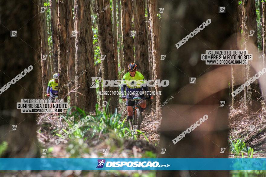 3° Desafio 100km de Terra