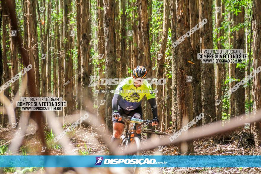 3° Desafio 100km de Terra