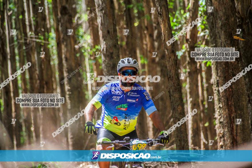 3° Desafio 100km de Terra