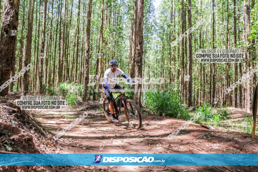 3° Desafio 100km de Terra