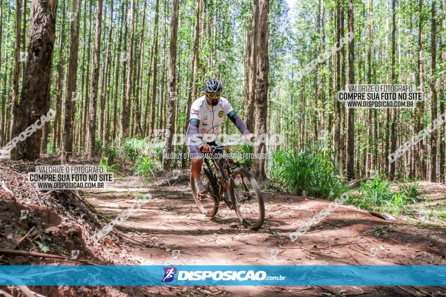 3° Desafio 100km de Terra