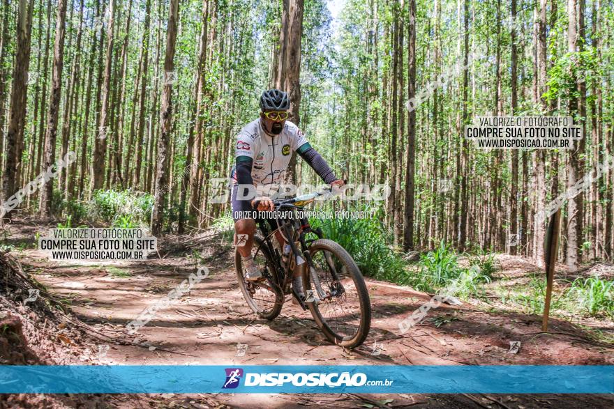 3° Desafio 100km de Terra