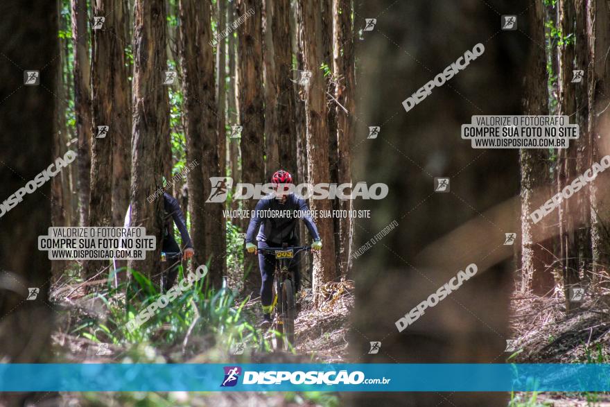 3° Desafio 100km de Terra