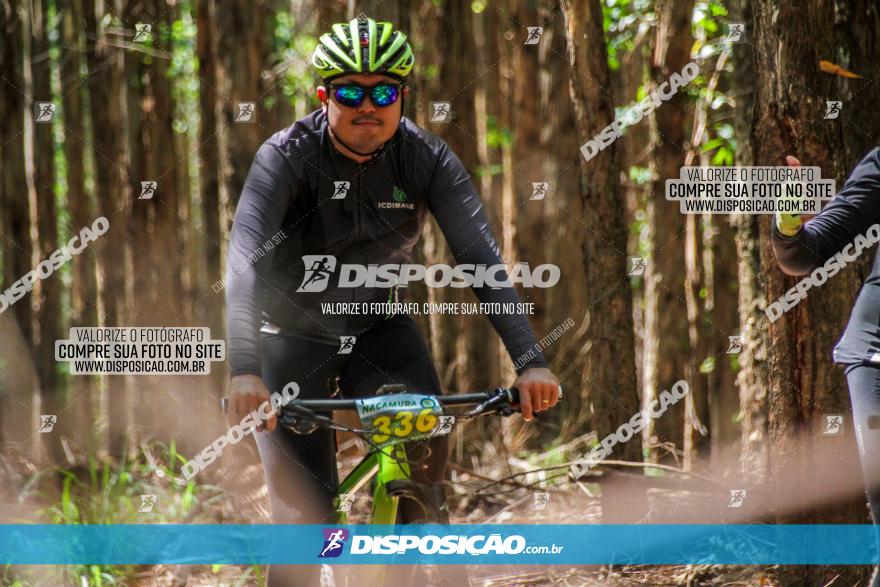 3° Desafio 100km de Terra