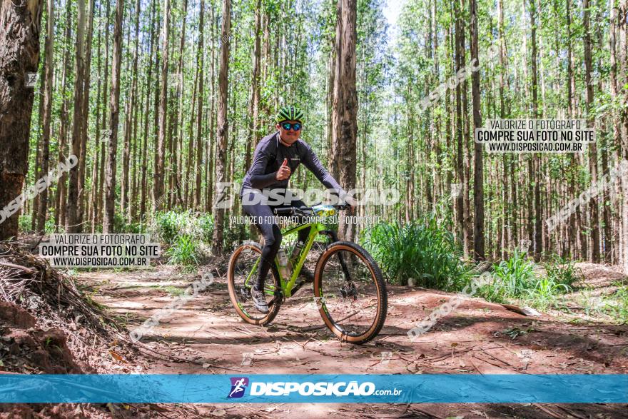 3° Desafio 100km de Terra