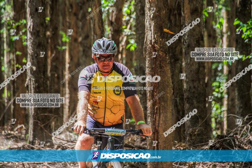 3° Desafio 100km de Terra