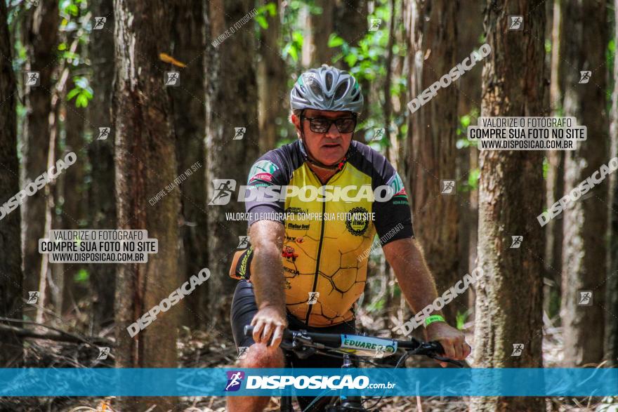 3° Desafio 100km de Terra