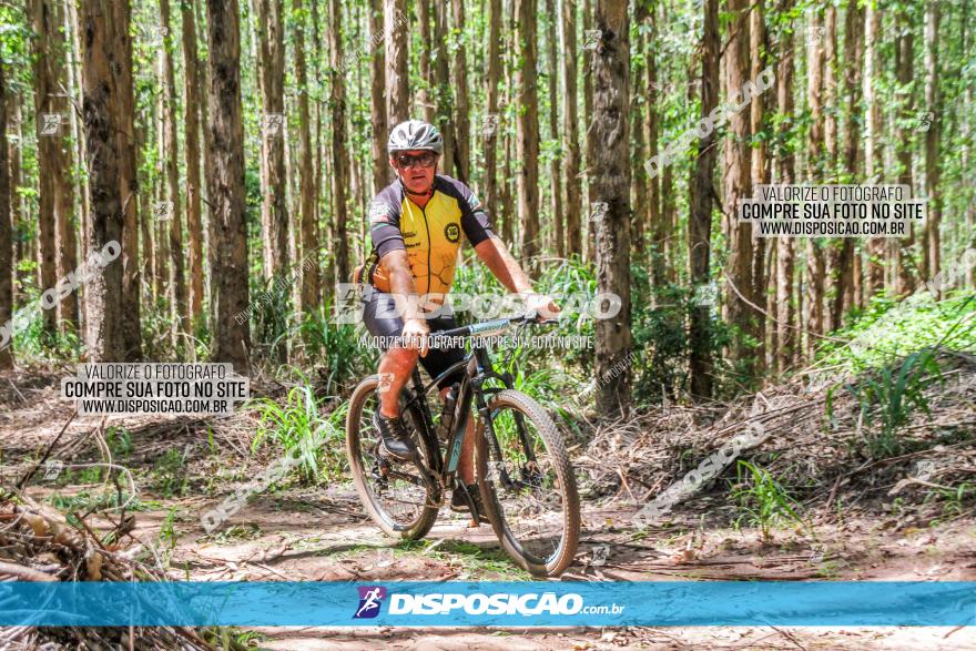 3° Desafio 100km de Terra