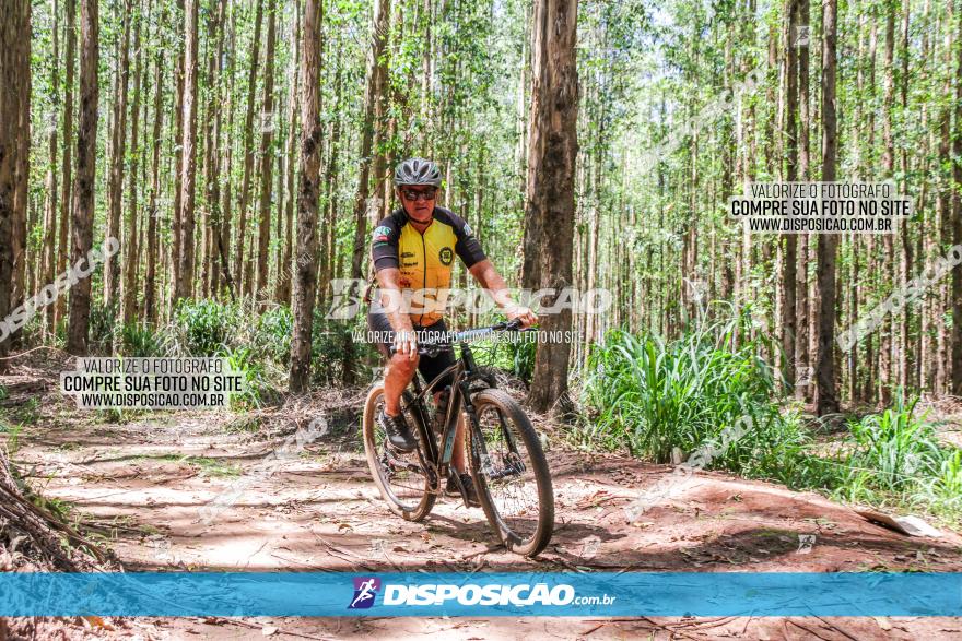 3° Desafio 100km de Terra