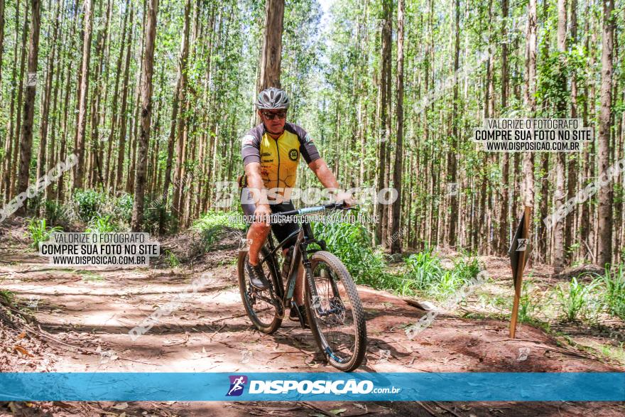 3° Desafio 100km de Terra