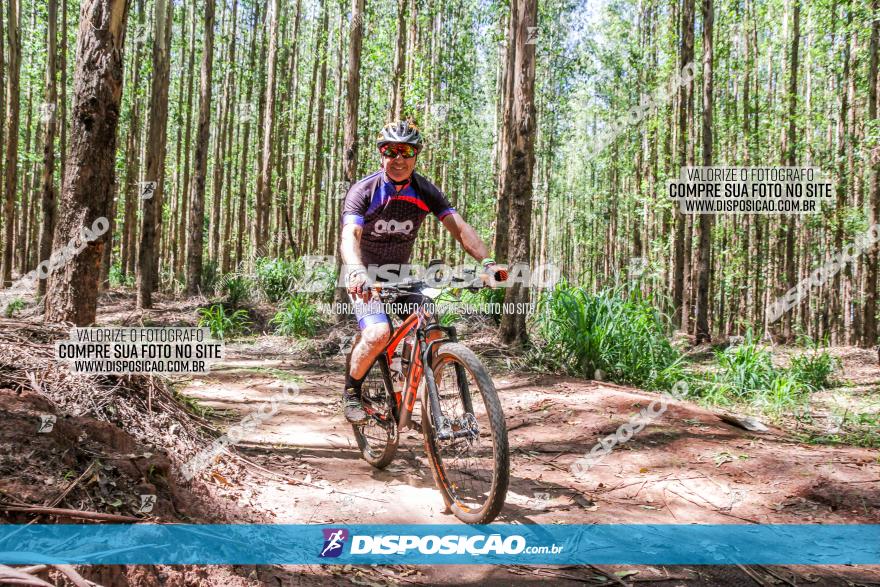 3° Desafio 100km de Terra