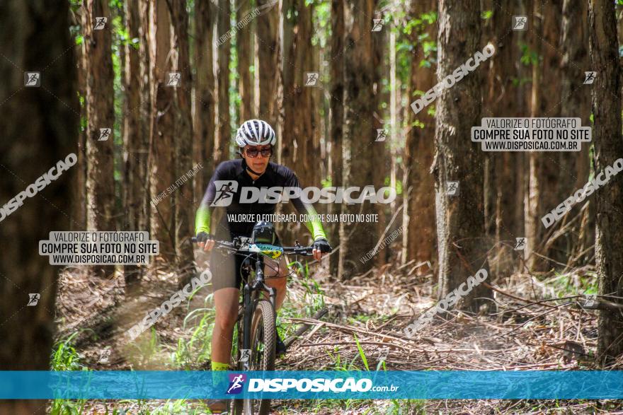 3° Desafio 100km de Terra