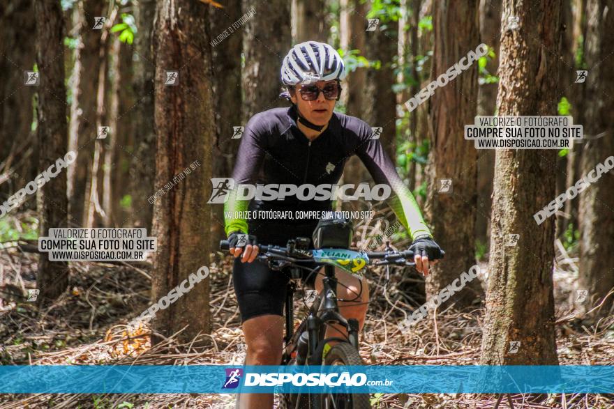 3° Desafio 100km de Terra