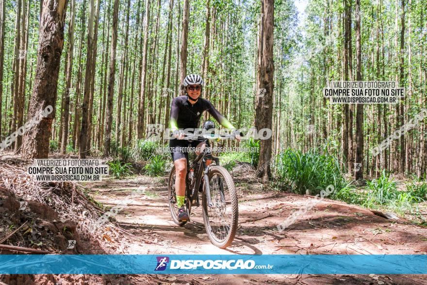 3° Desafio 100km de Terra