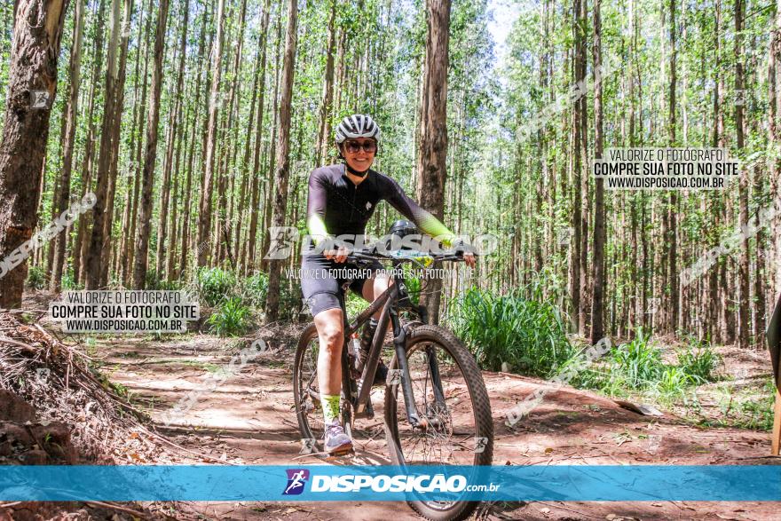 3° Desafio 100km de Terra