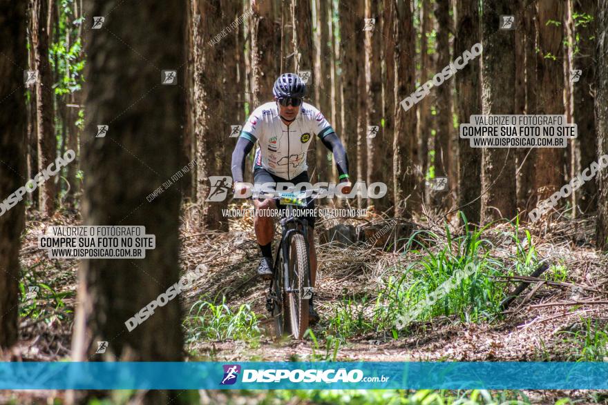 3° Desafio 100km de Terra