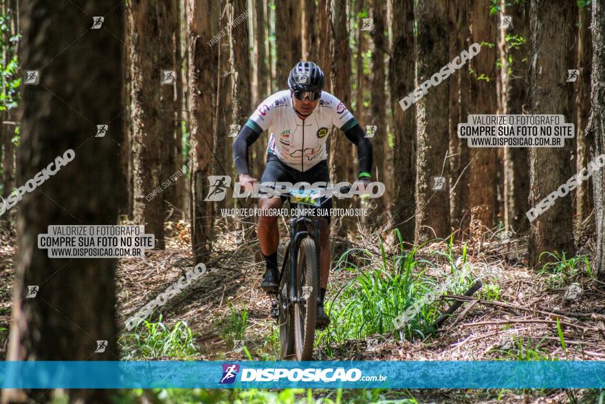 3° Desafio 100km de Terra