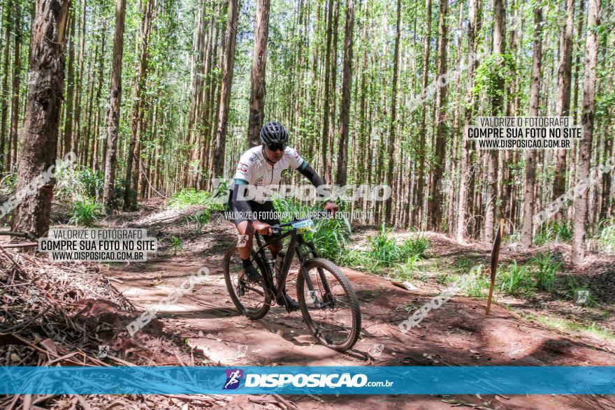 3° Desafio 100km de Terra