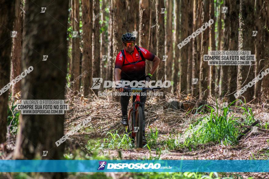 3° Desafio 100km de Terra