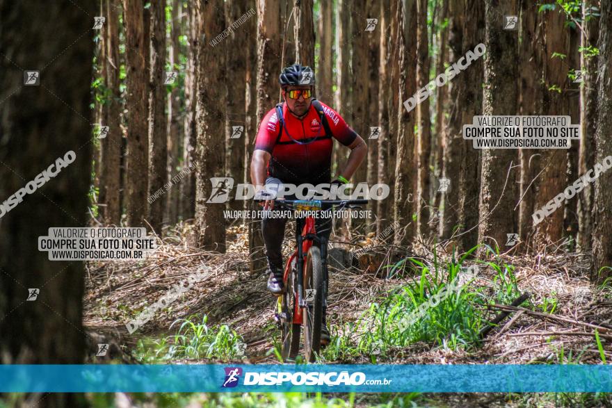 3° Desafio 100km de Terra