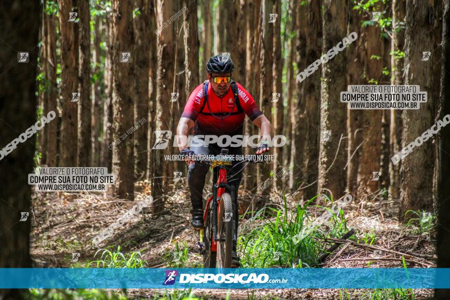 3° Desafio 100km de Terra