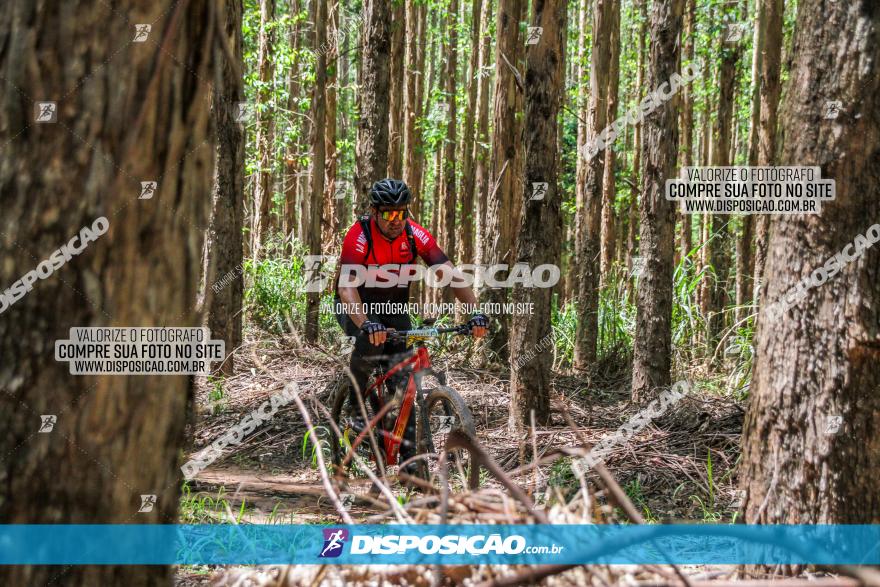 3° Desafio 100km de Terra