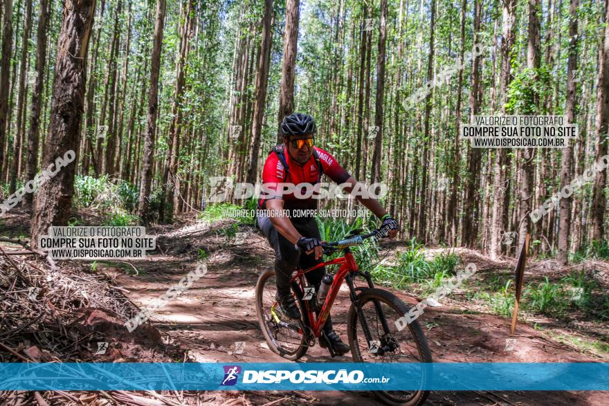 3° Desafio 100km de Terra