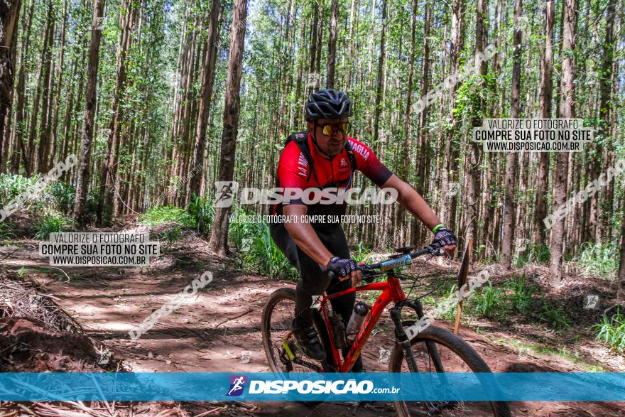 3° Desafio 100km de Terra